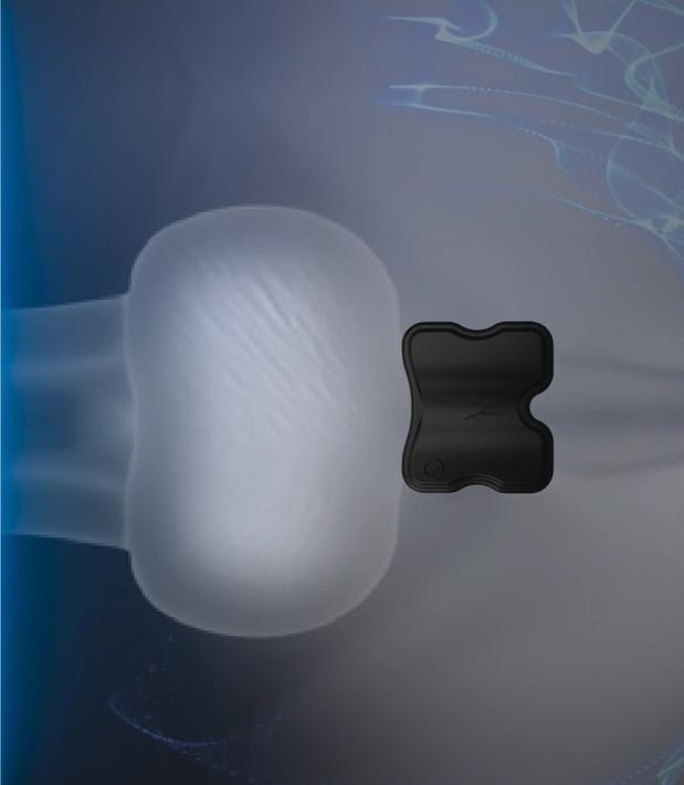Placement diagram showing where the patch goes between scrotum and anus